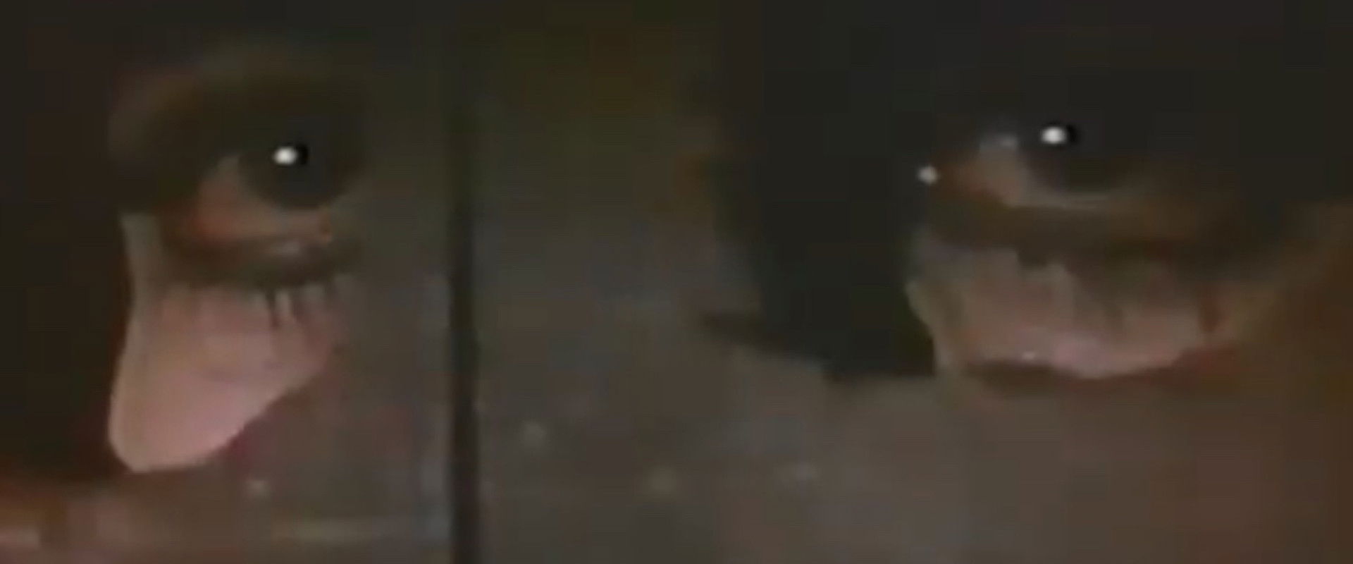 Infernal Death backdrop