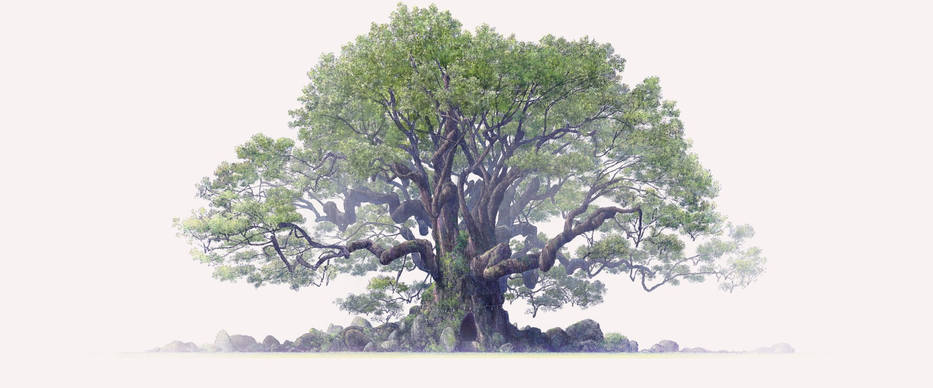 The Keeper of the Camphor Tree backdrop