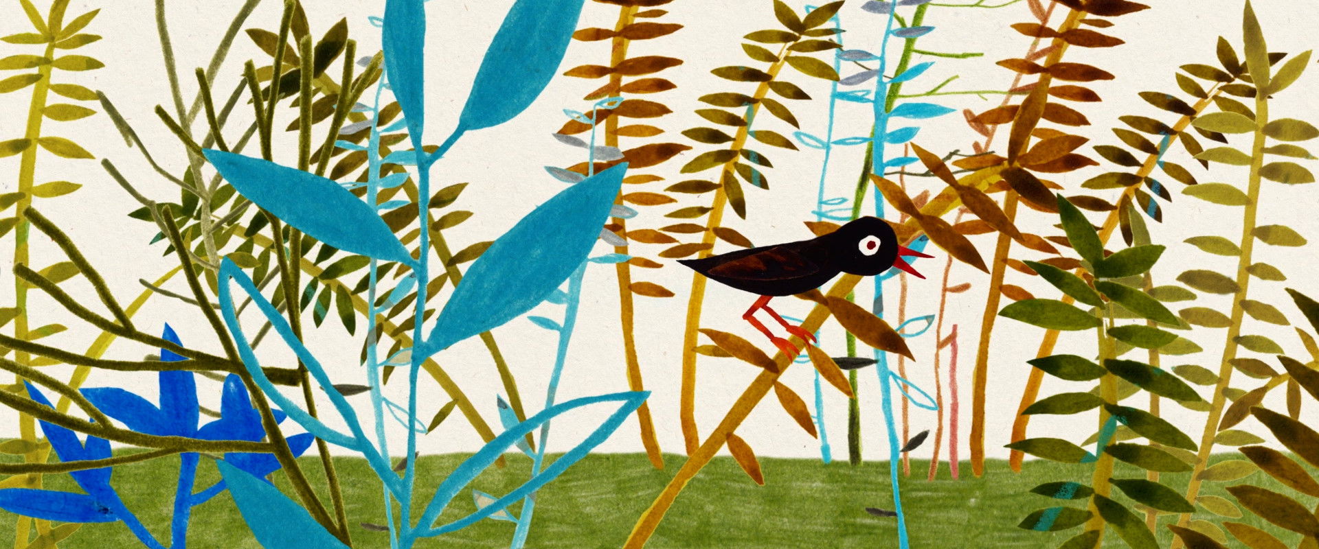 The New Species backdrop