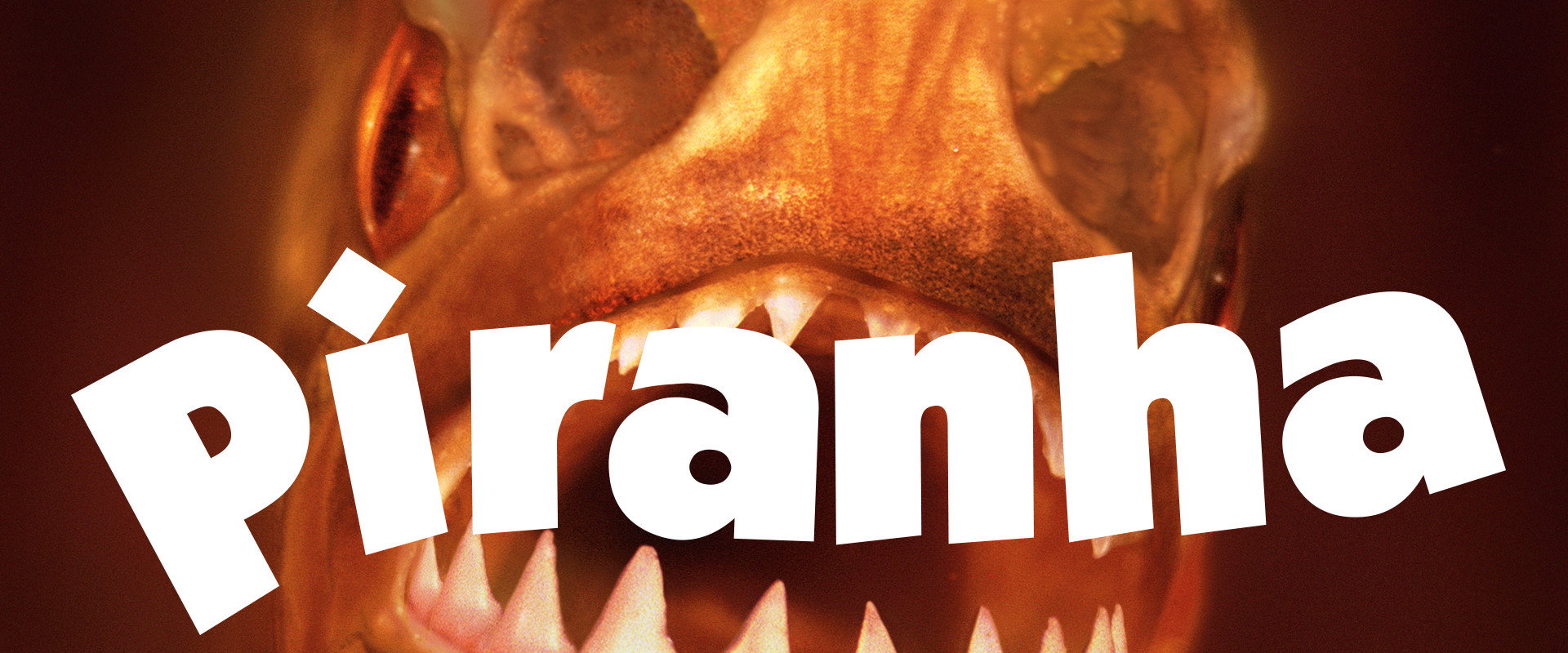 Piranha backdrop