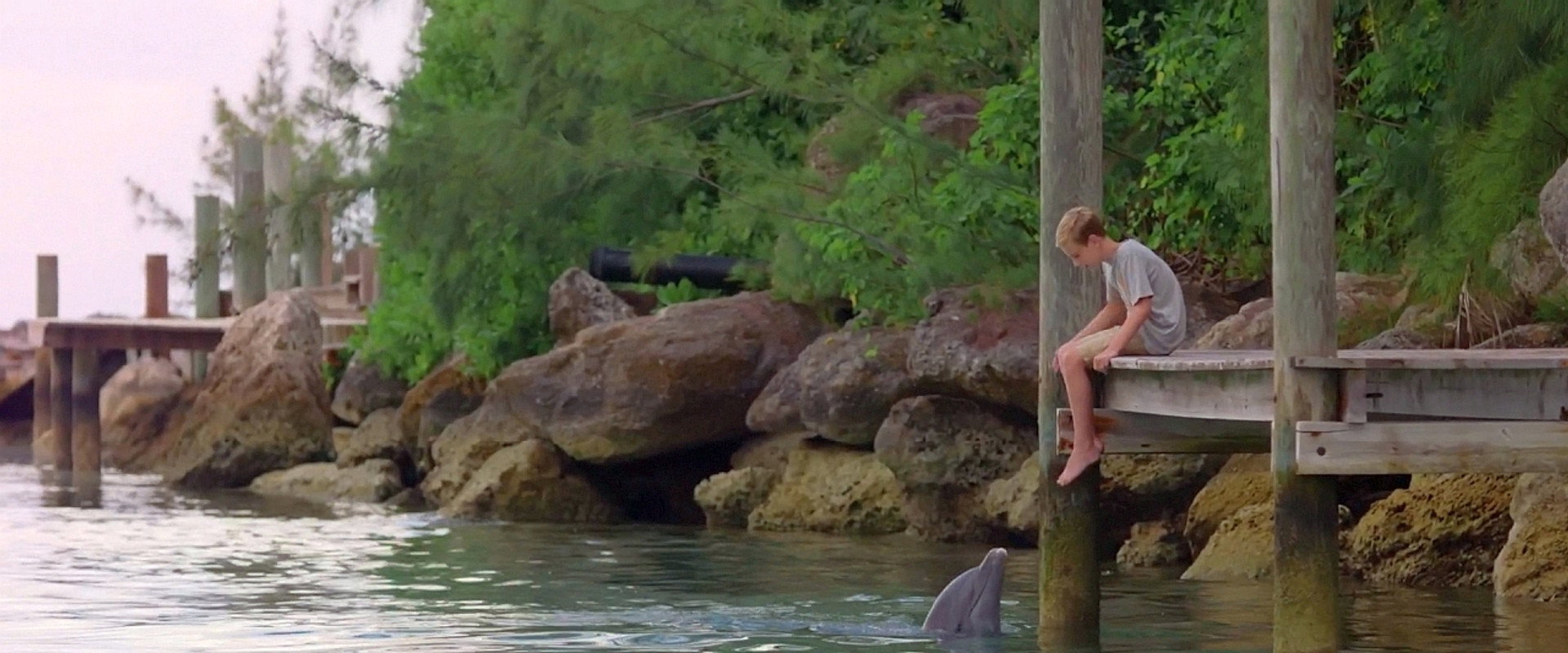 Dolphin Kick backdrop