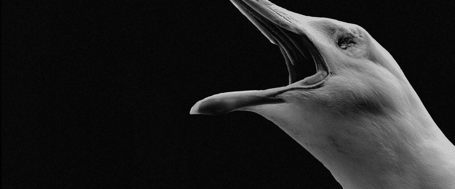 The Lighthouse: A Dark & Stormy Tale backdrop