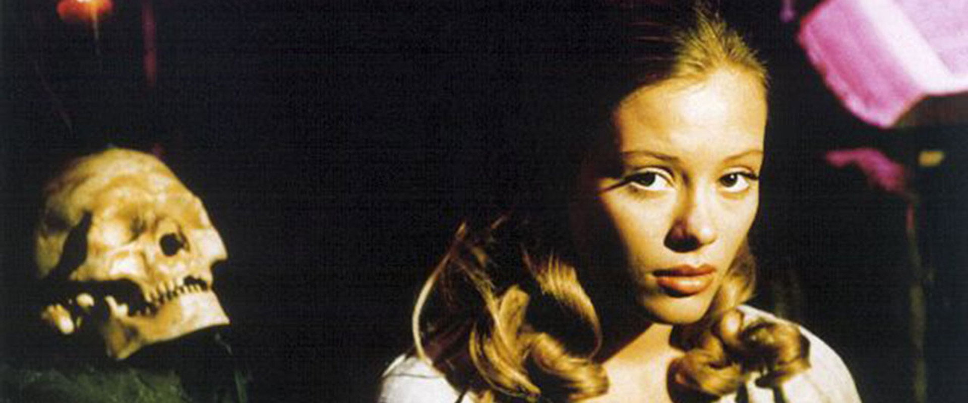 Anička s lískovými oříšky backdrop