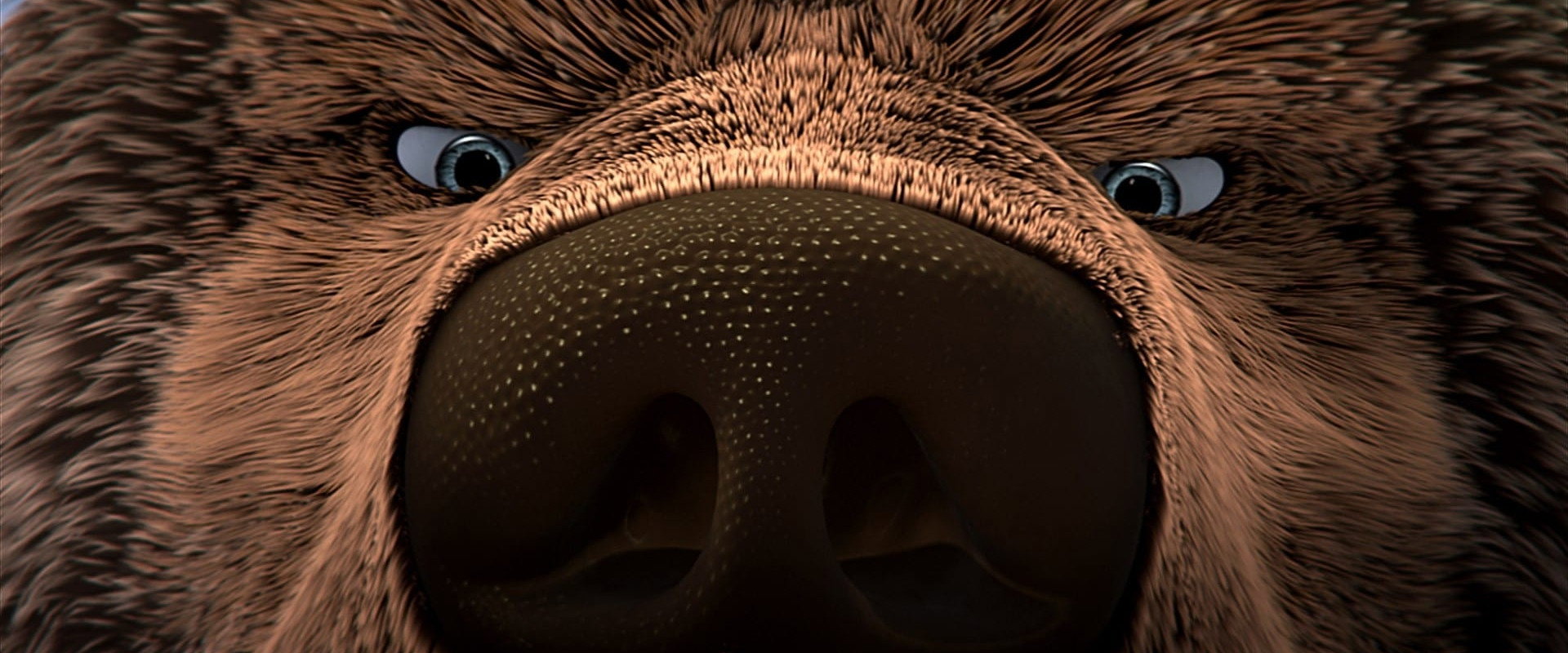 The Great Bear backdrop