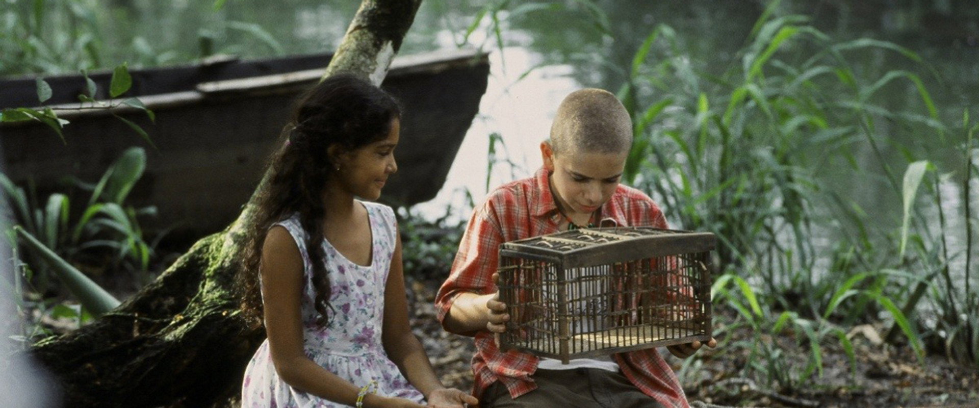The Blue Butterfly backdrop