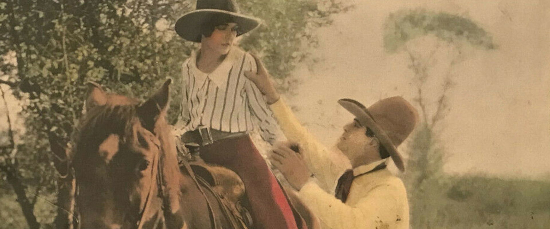 Hurricane Hal backdrop