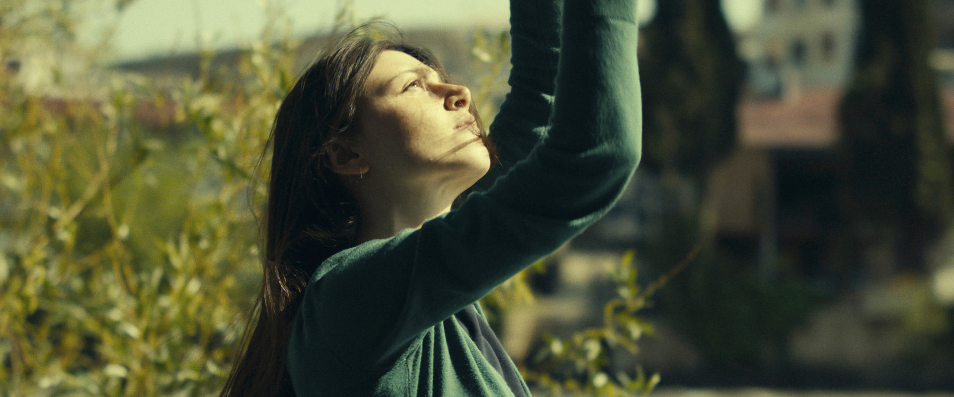 What Do We See When We Look at the Sky? backdrop