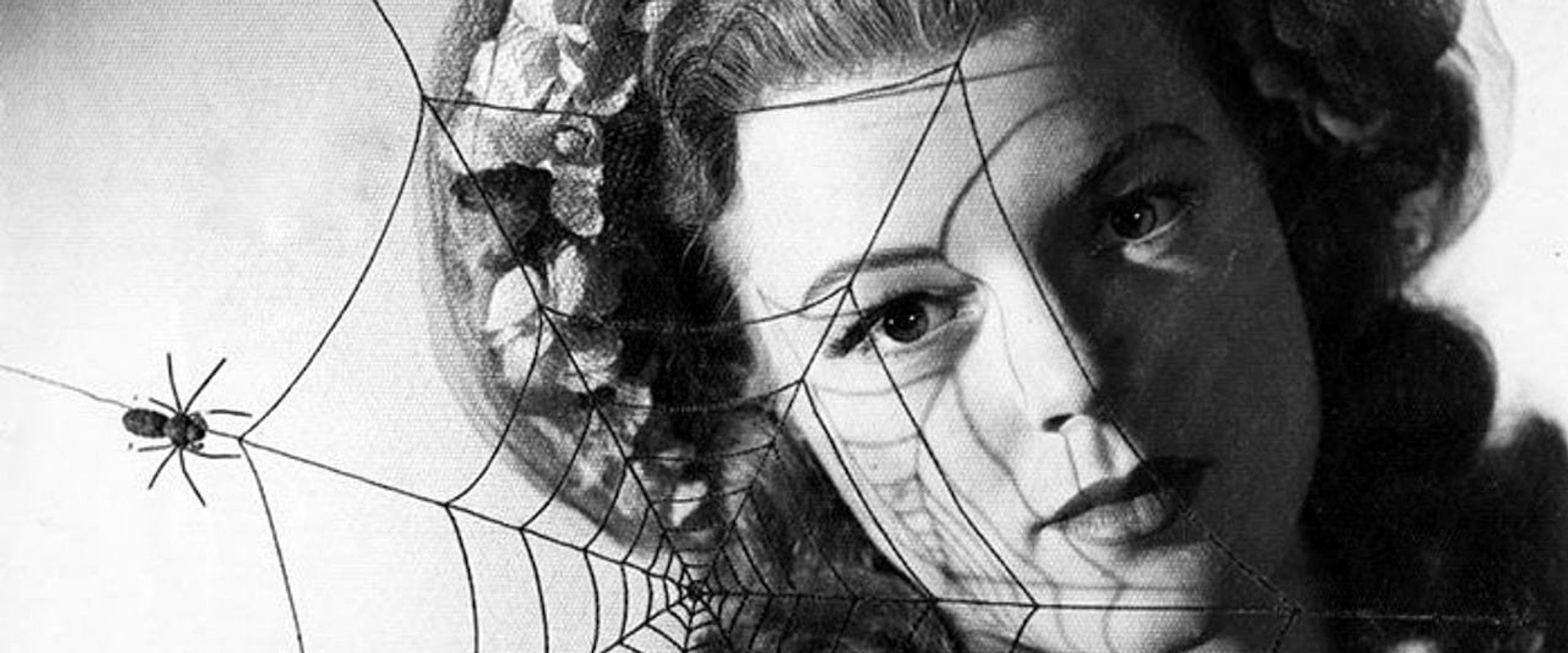 The Spider backdrop