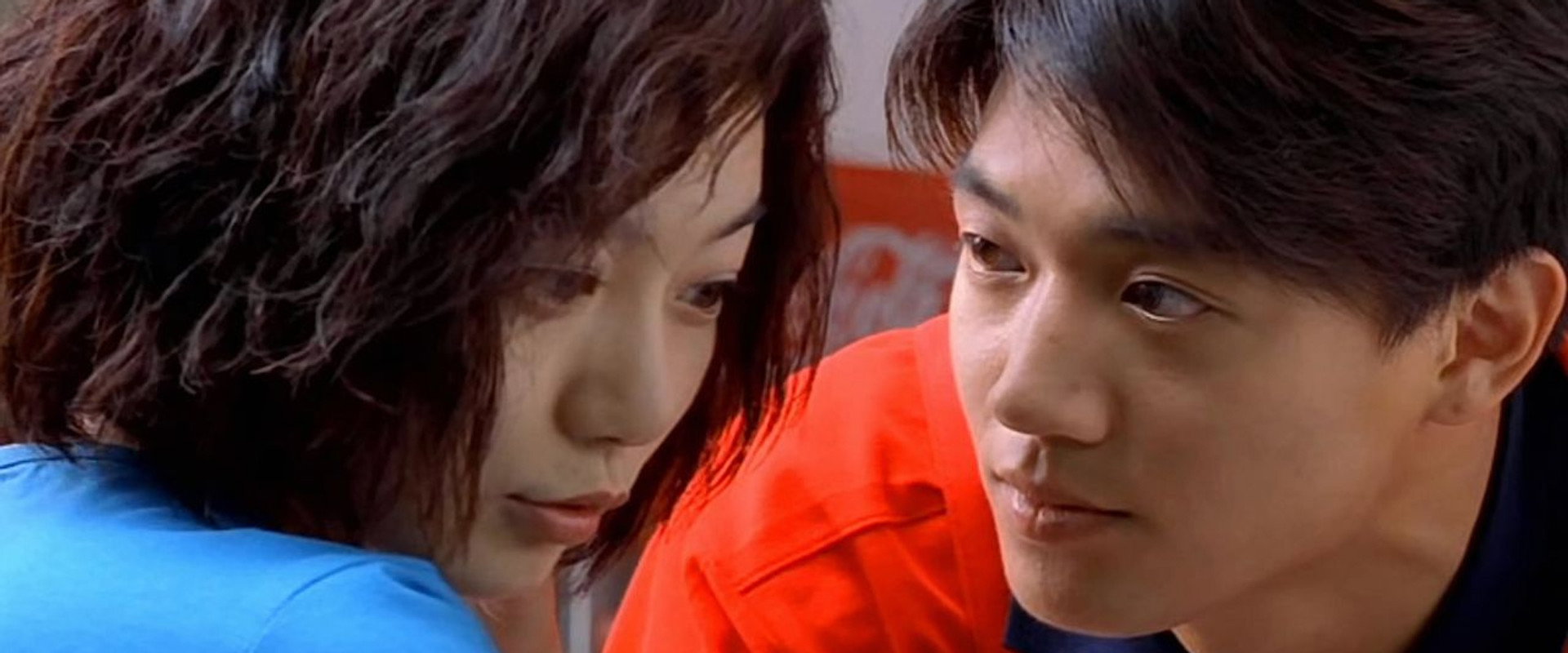 Plum Blossom backdrop