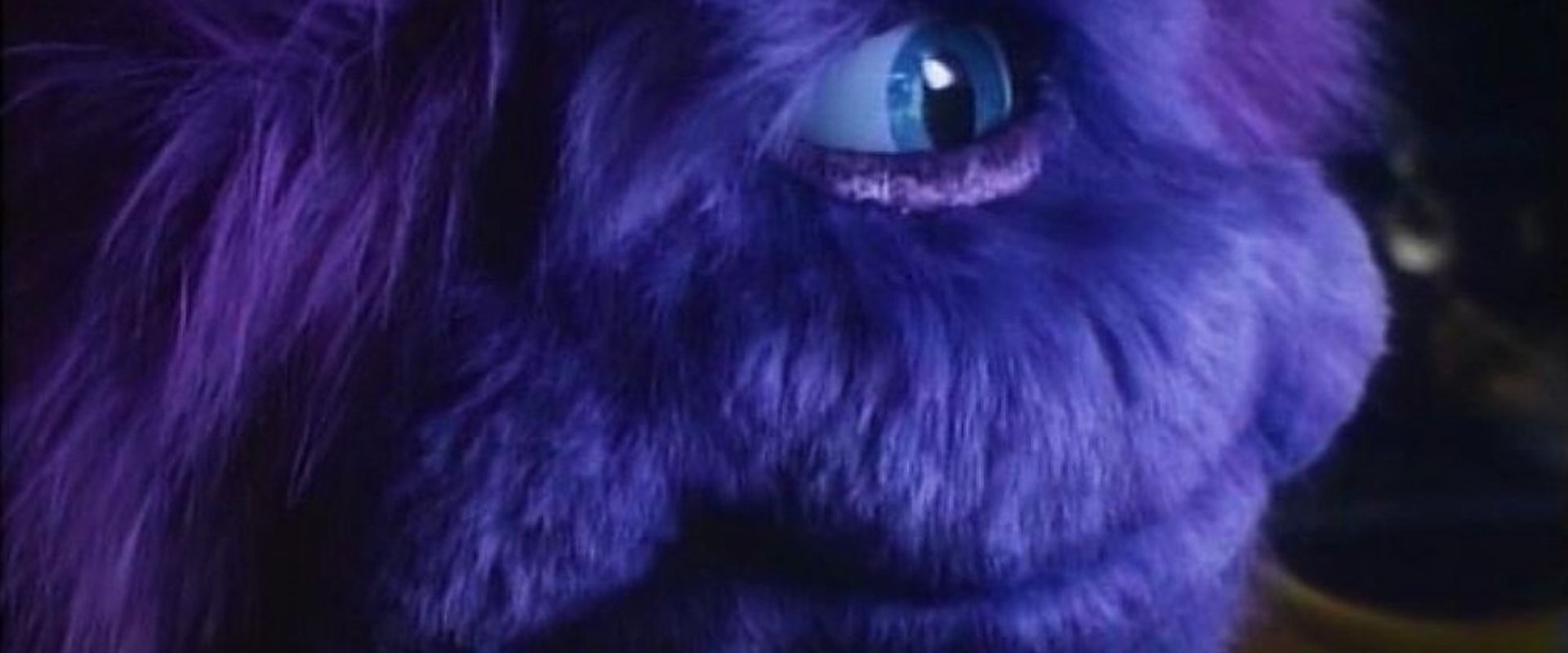 Purple People Eater backdrop