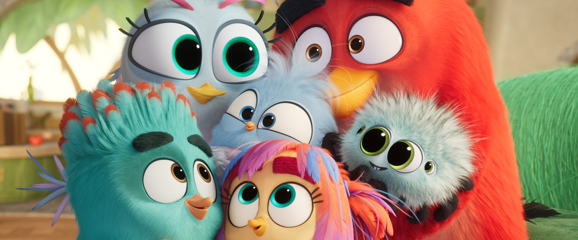 The Angry Birds Movie 3 backdrop
