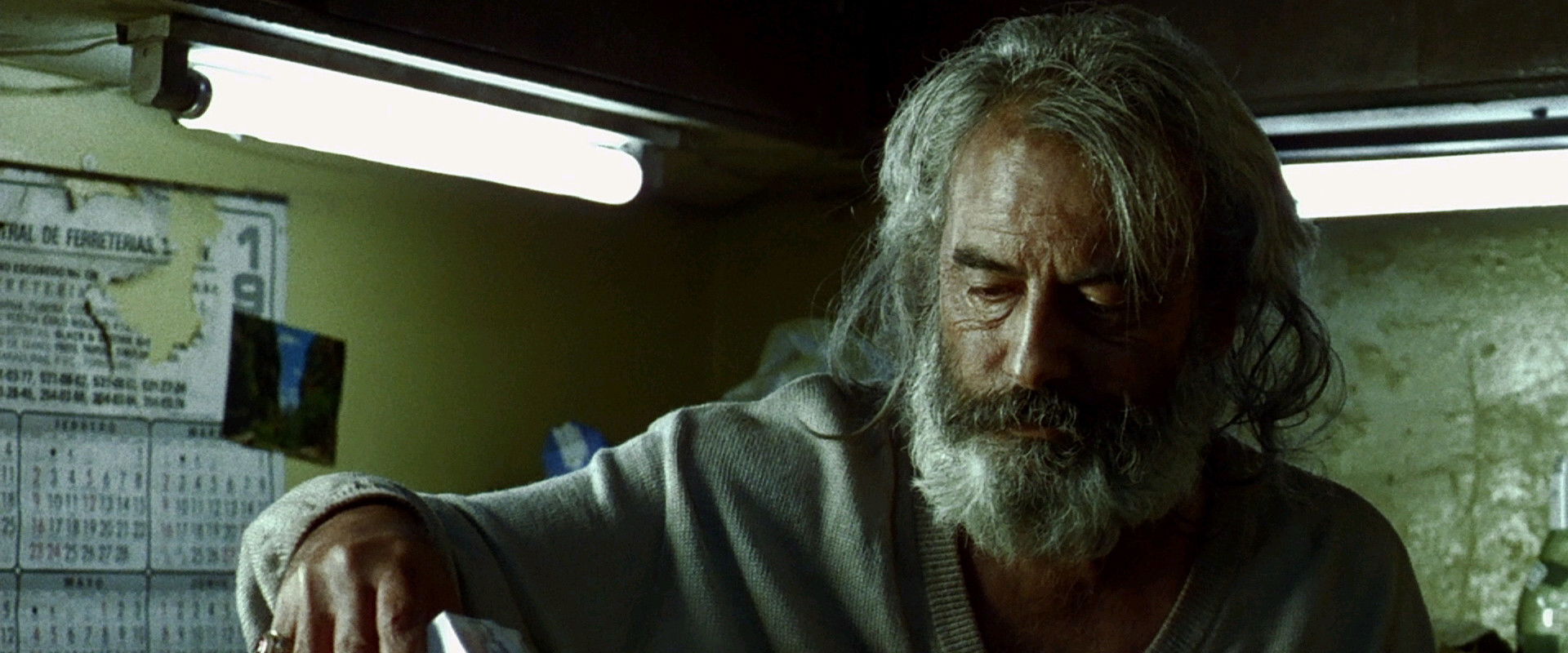 Amores Perros backdrop