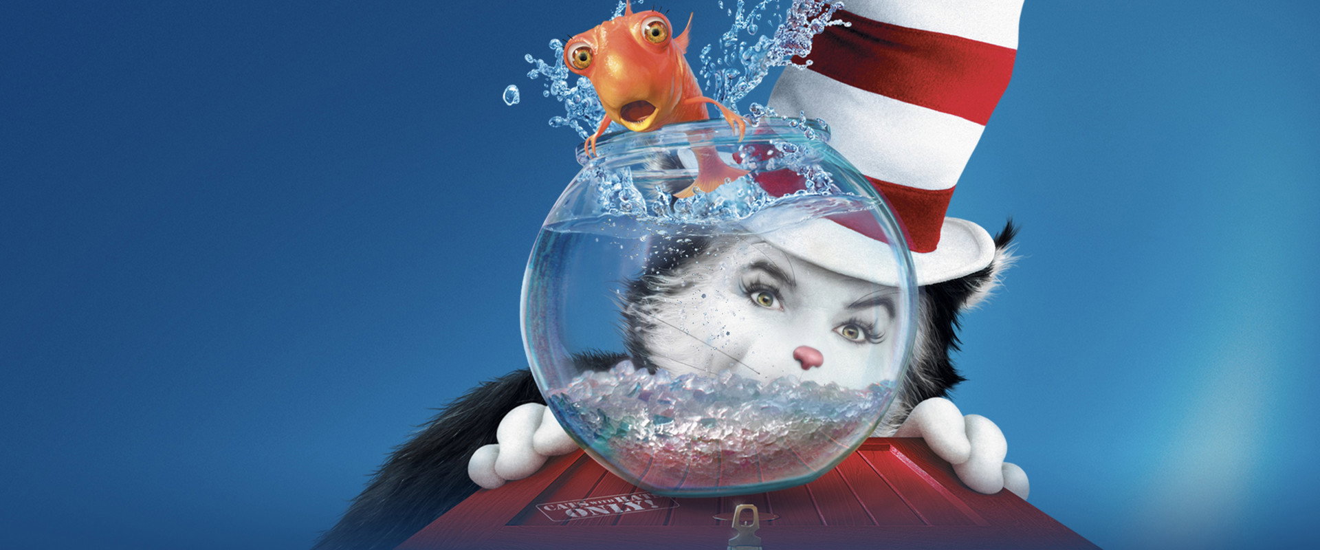The Cat in the Hat backdrop