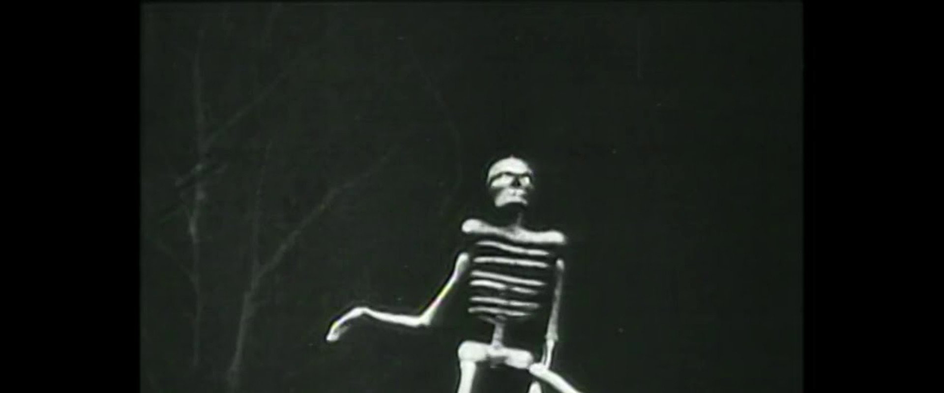 The Dancing Skeleton backdrop