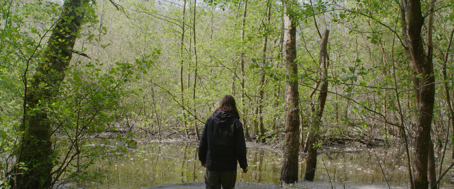 La Frontière backdrop