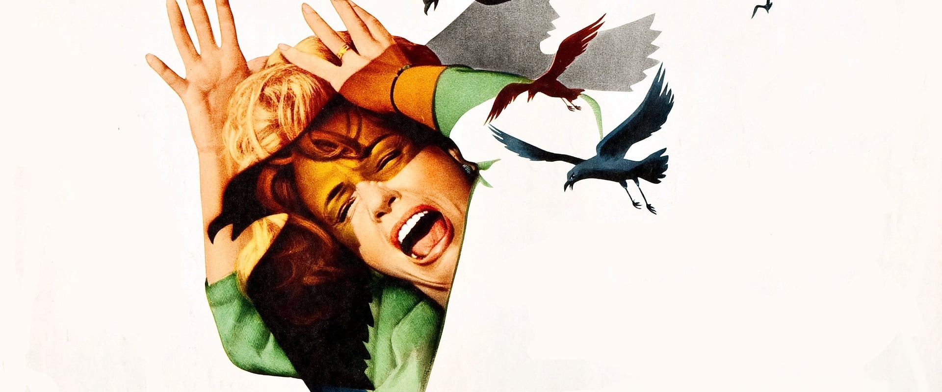 The Birds backdrop
