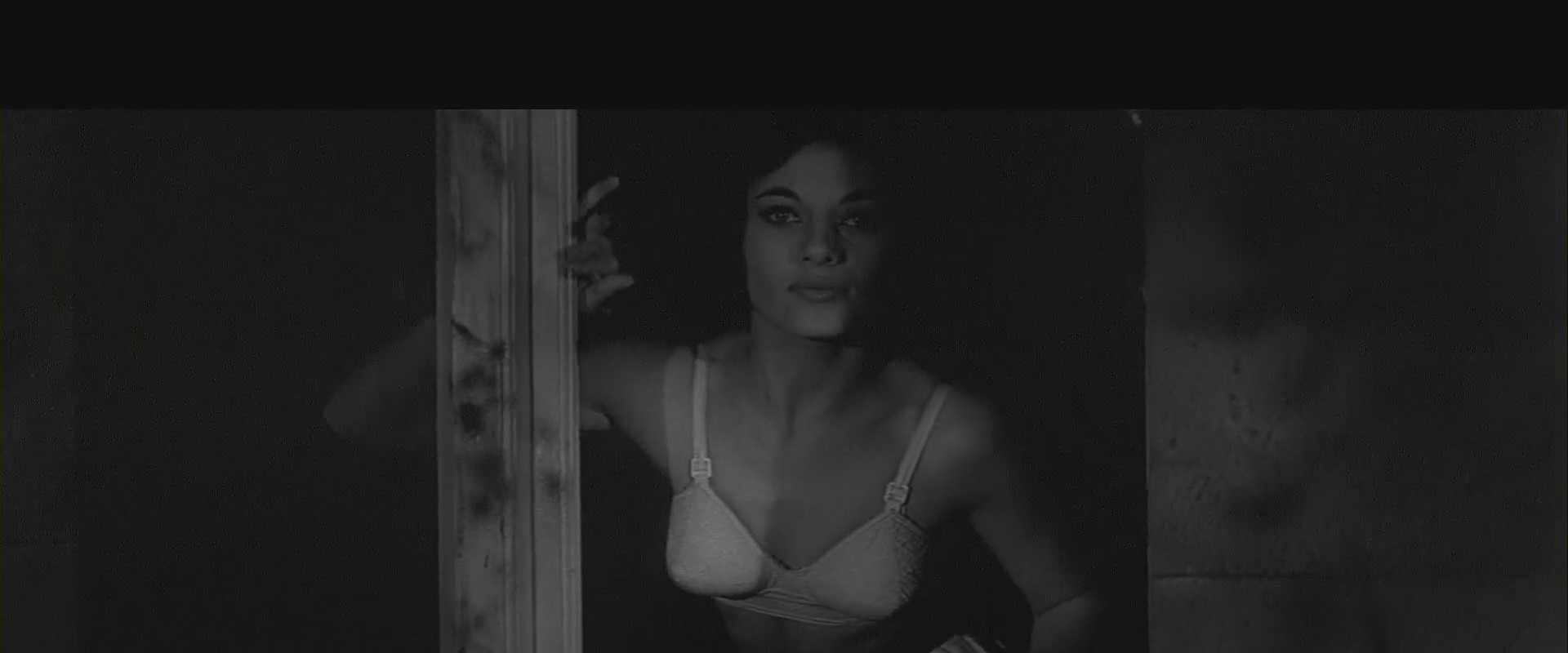 Curse of the Fly backdrop