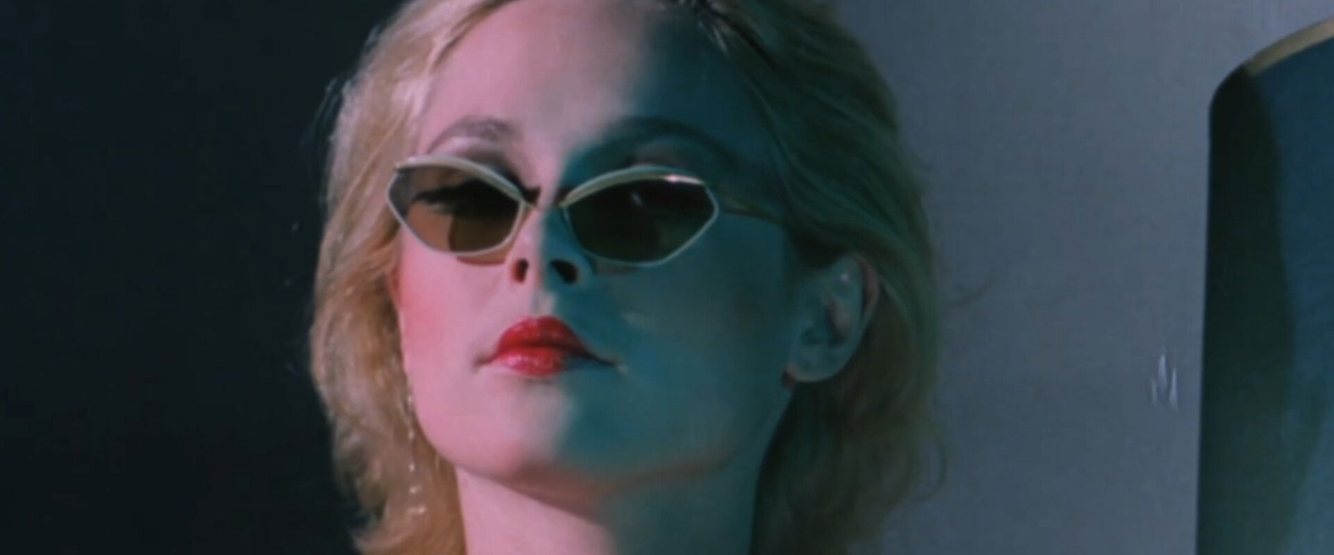 I Like Bats backdrop