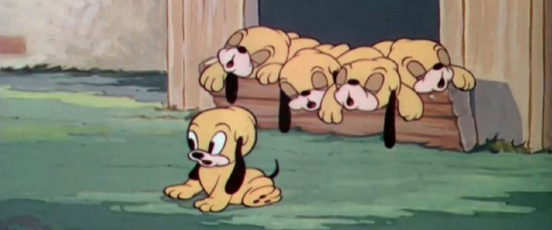 Pluto's Quin-puplets backdrop