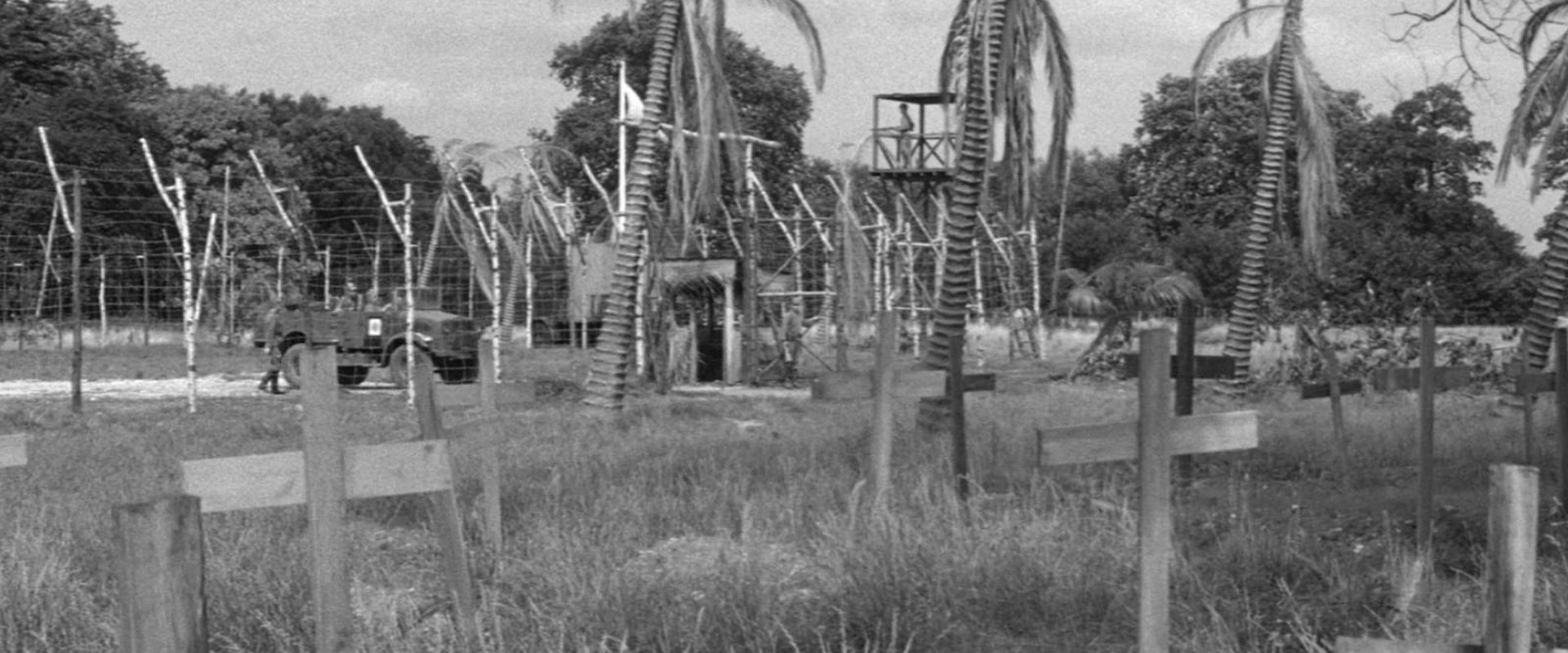 The Camp on Blood Island backdrop