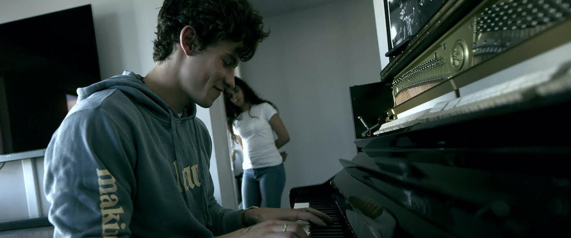 Shawn Mendes: In Wonder backdrop
