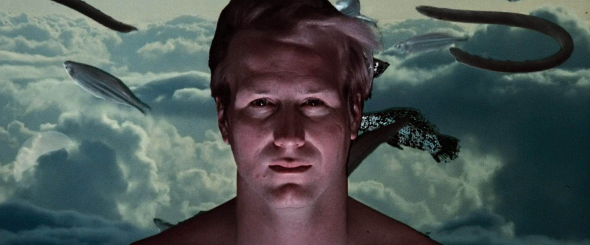 Altered States backdrop