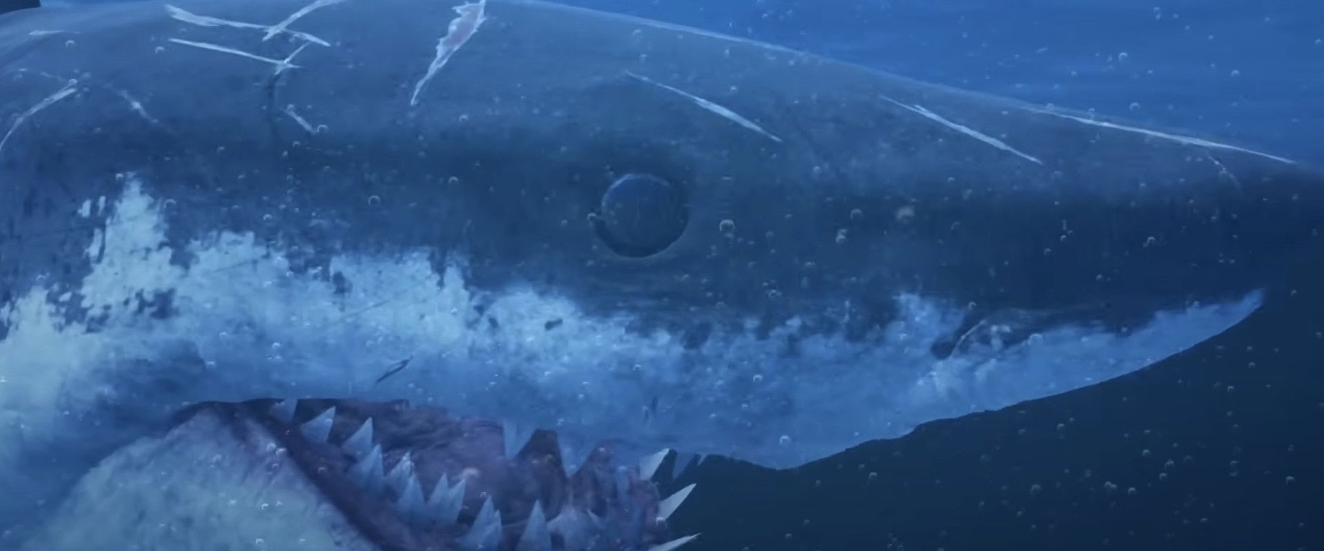 Mummy Shark backdrop