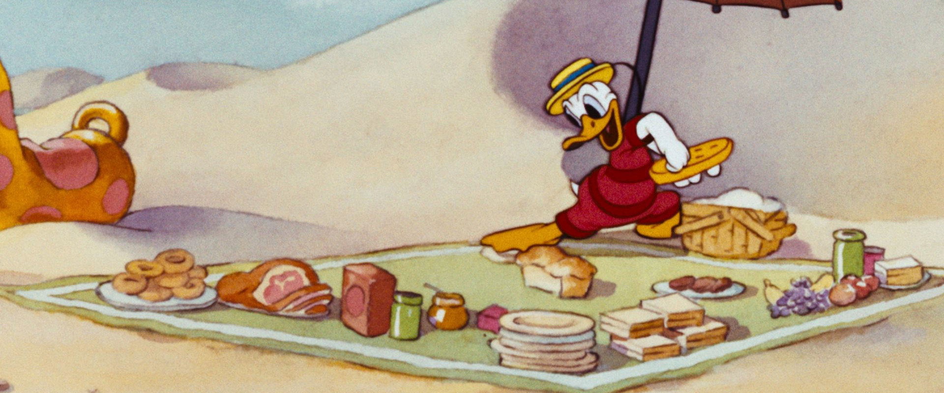 Beach Picnic backdrop