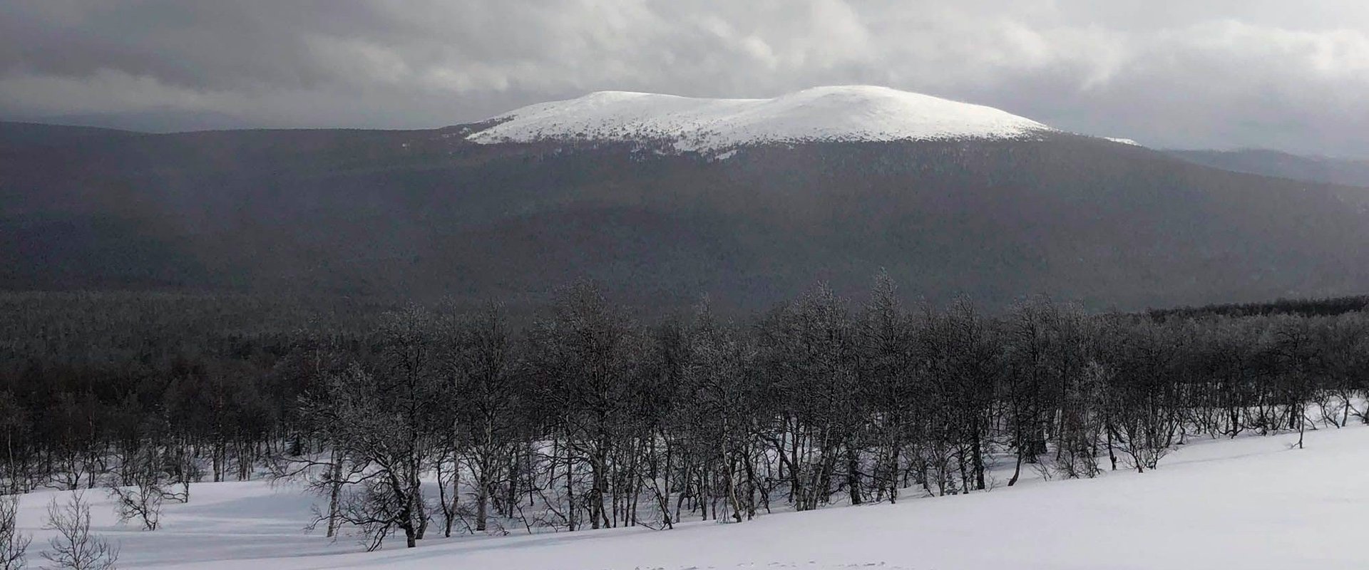 The Dyatlov Pass Incident backdrop