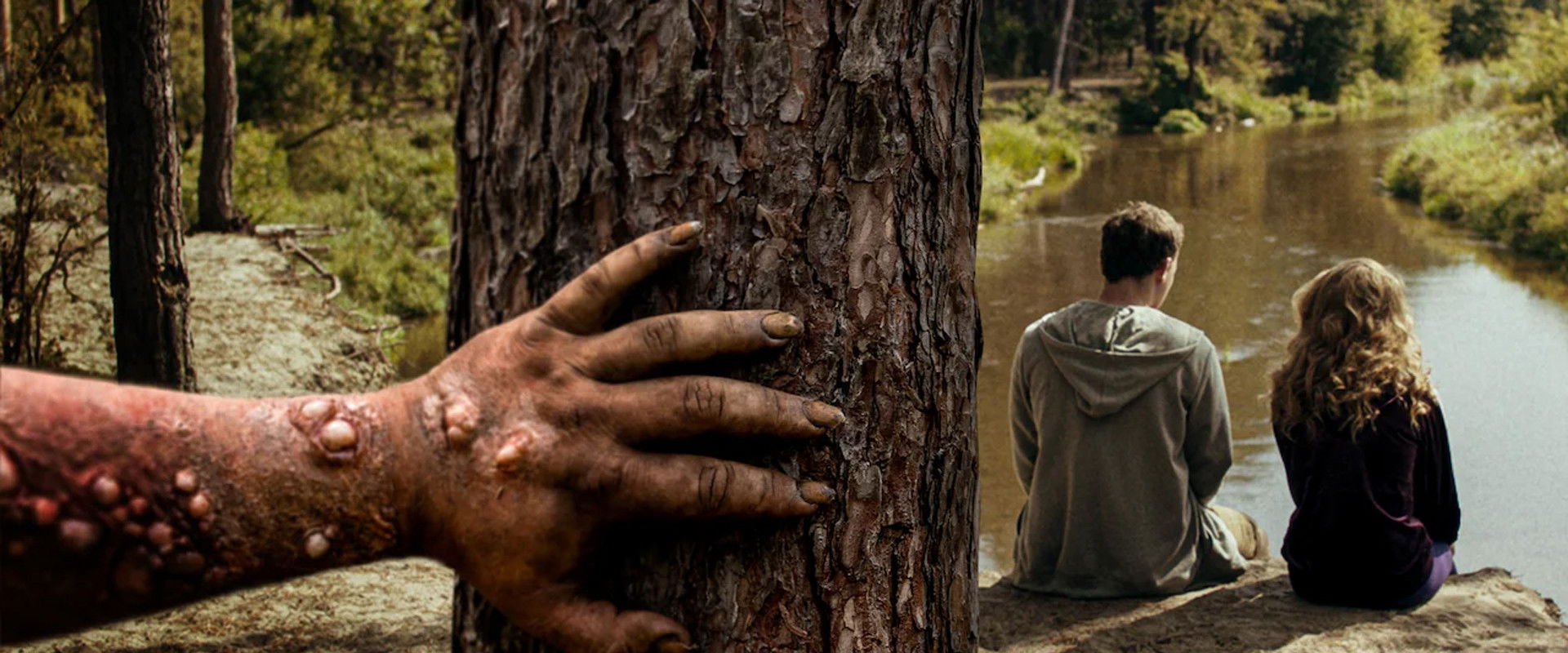 Nobody Sleeps in the Woods Tonight backdrop