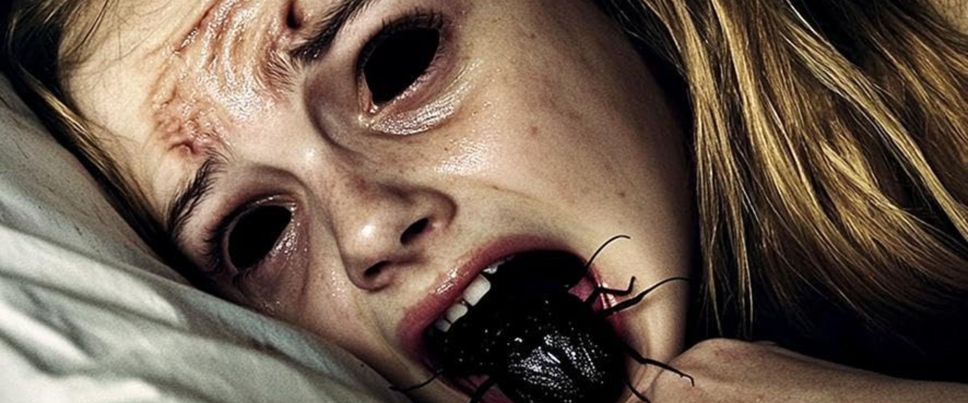 The Containment
