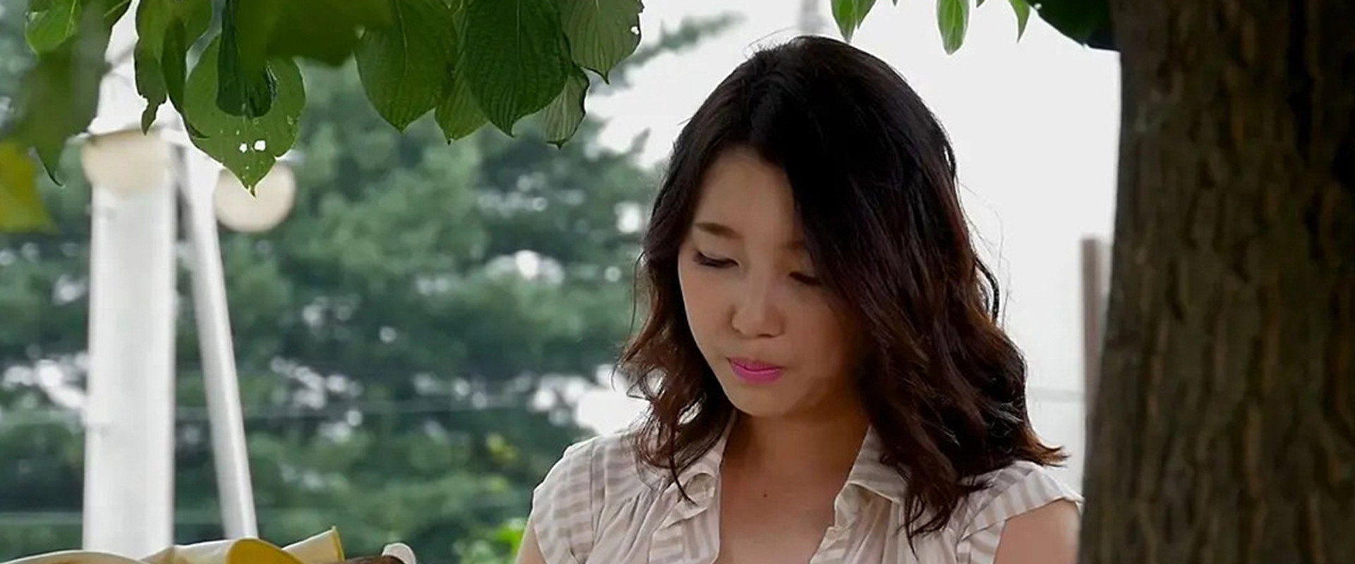 Power Diary: Cow Farm Saedaek backdrop