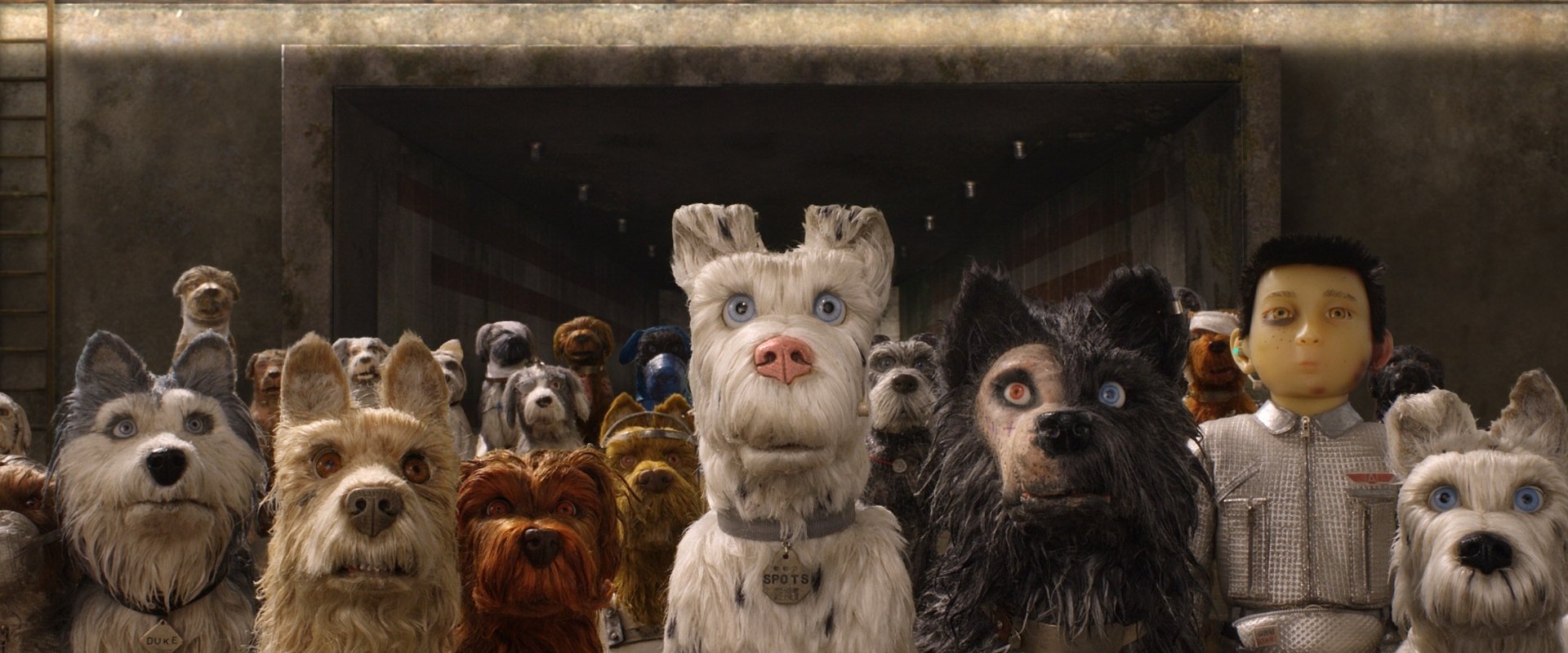 Isle of Dogs backdrop
