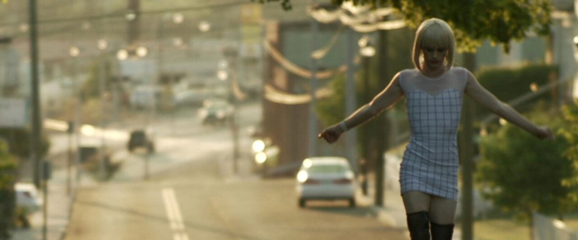 Me @ the Zoo backdrop