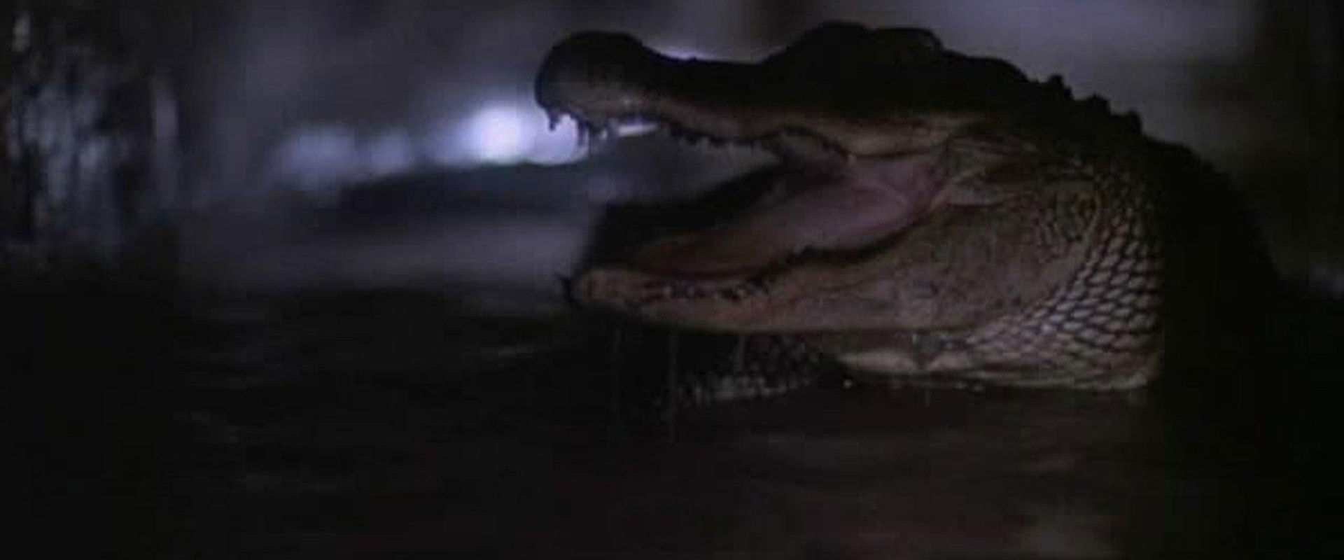 Alligator 2: The Mutation backdrop