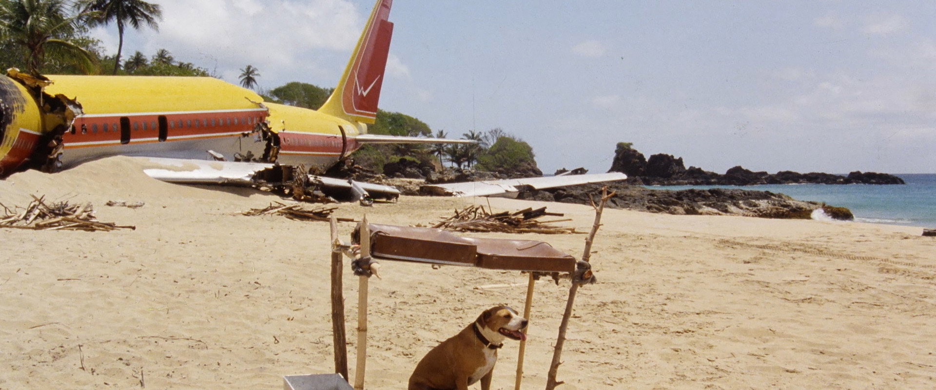 The Last Island backdrop