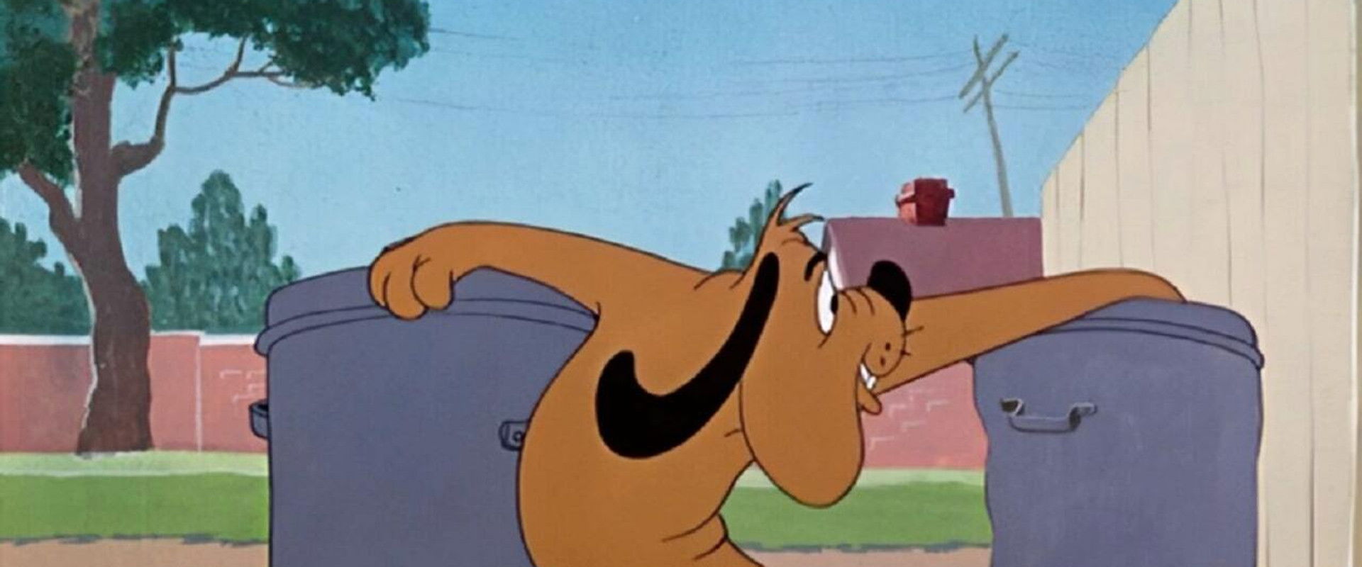 Doggone Cats backdrop