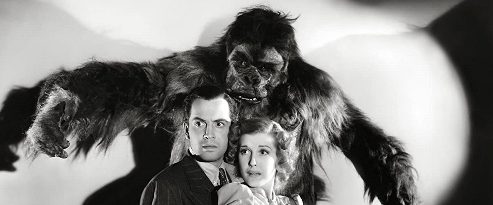 The Gorilla backdrop