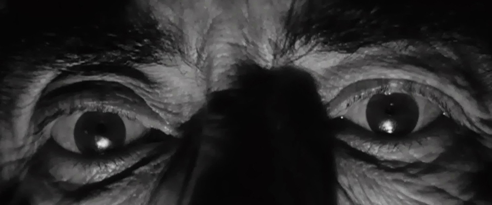 Taste of Fear backdrop