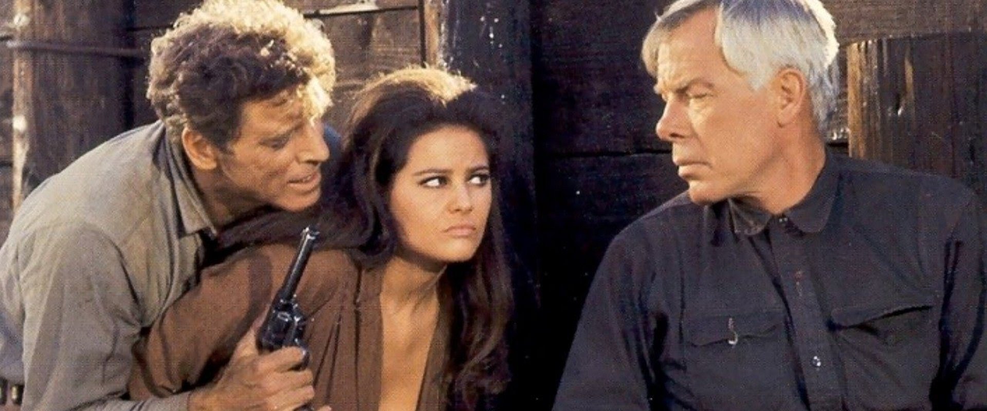 The Professionals