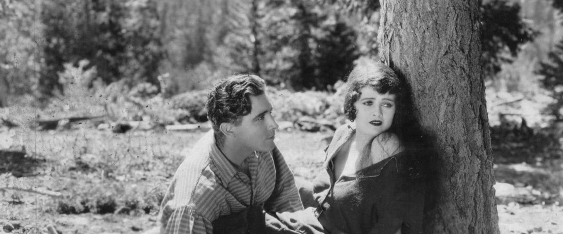 The Shepherd of the Hills backdrop