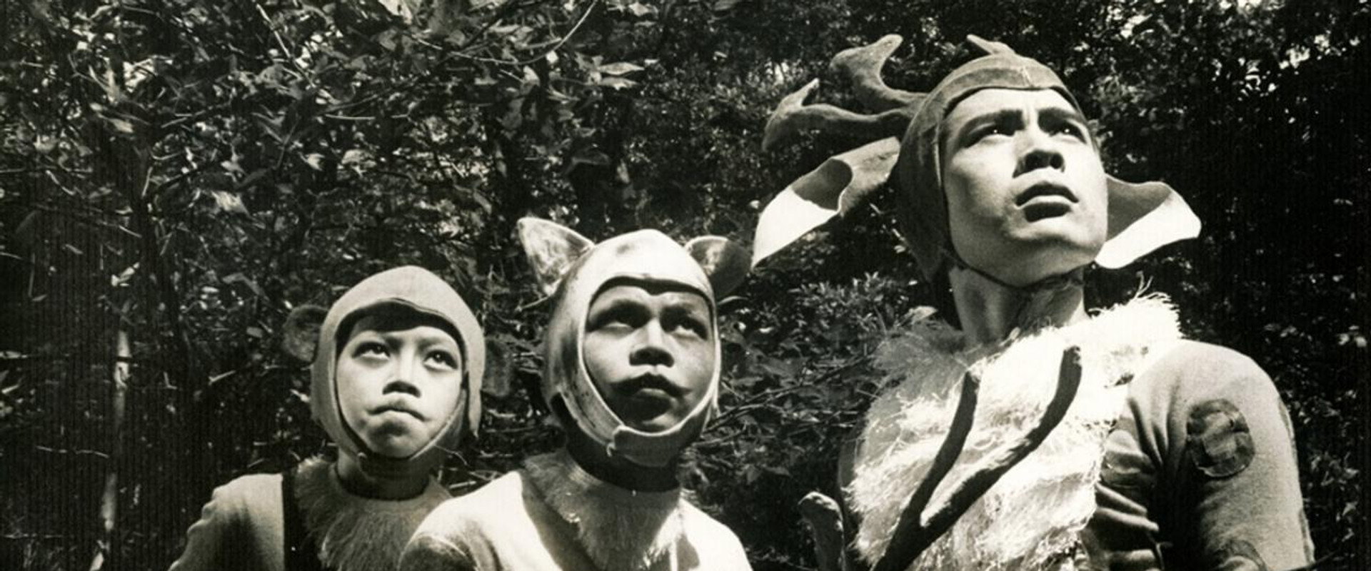 The Fantasy of Deer Warrior backdrop