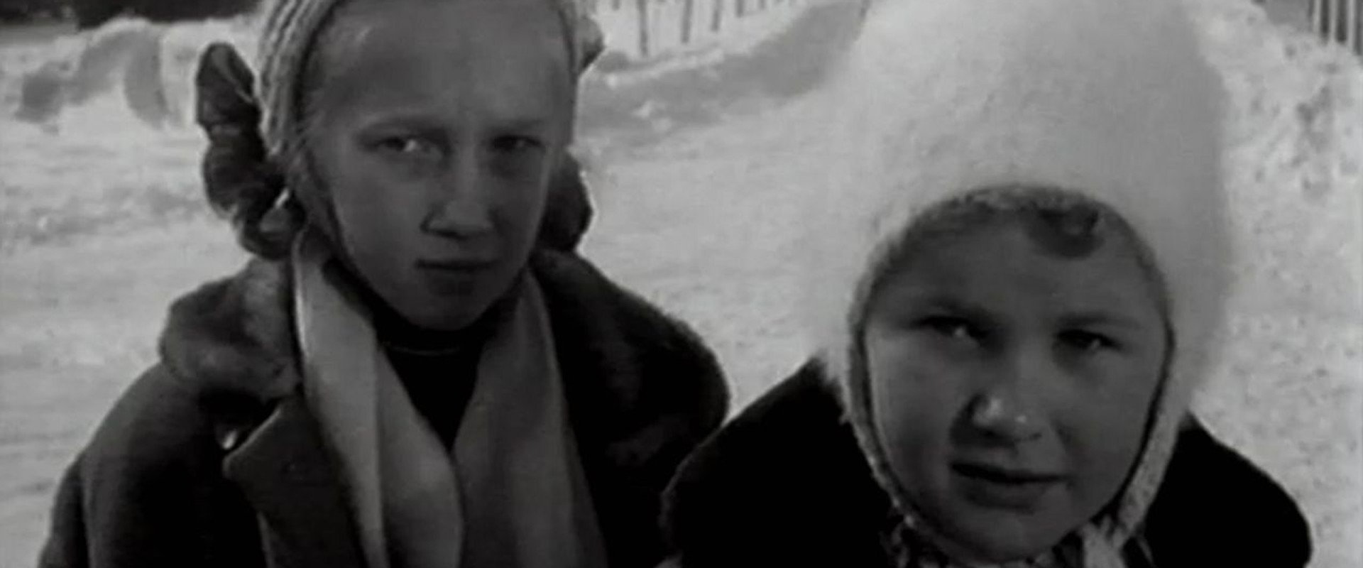 Give Me a Paw, My Friend! backdrop