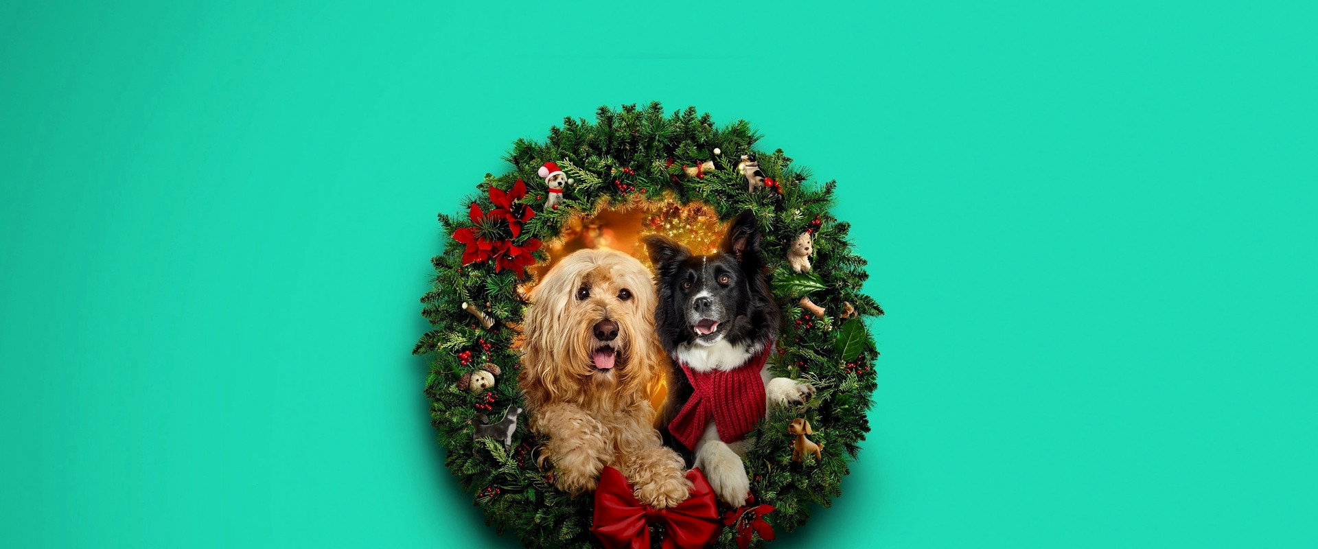 Happy Howlidays backdrop