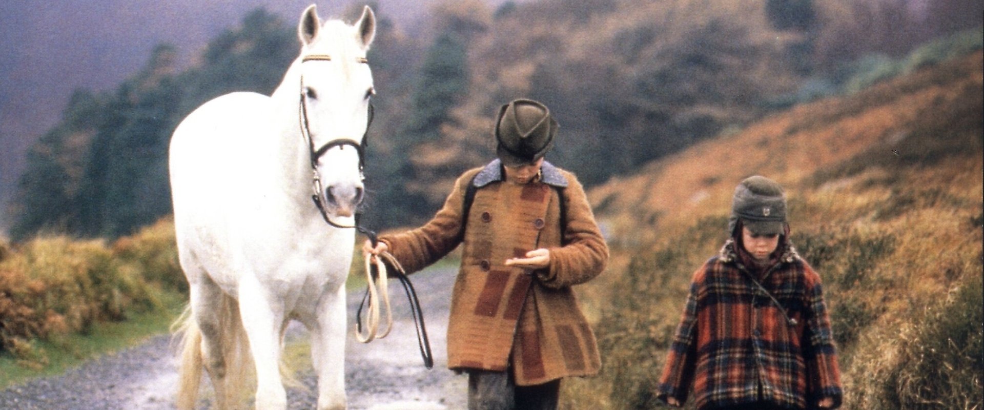 Into the West