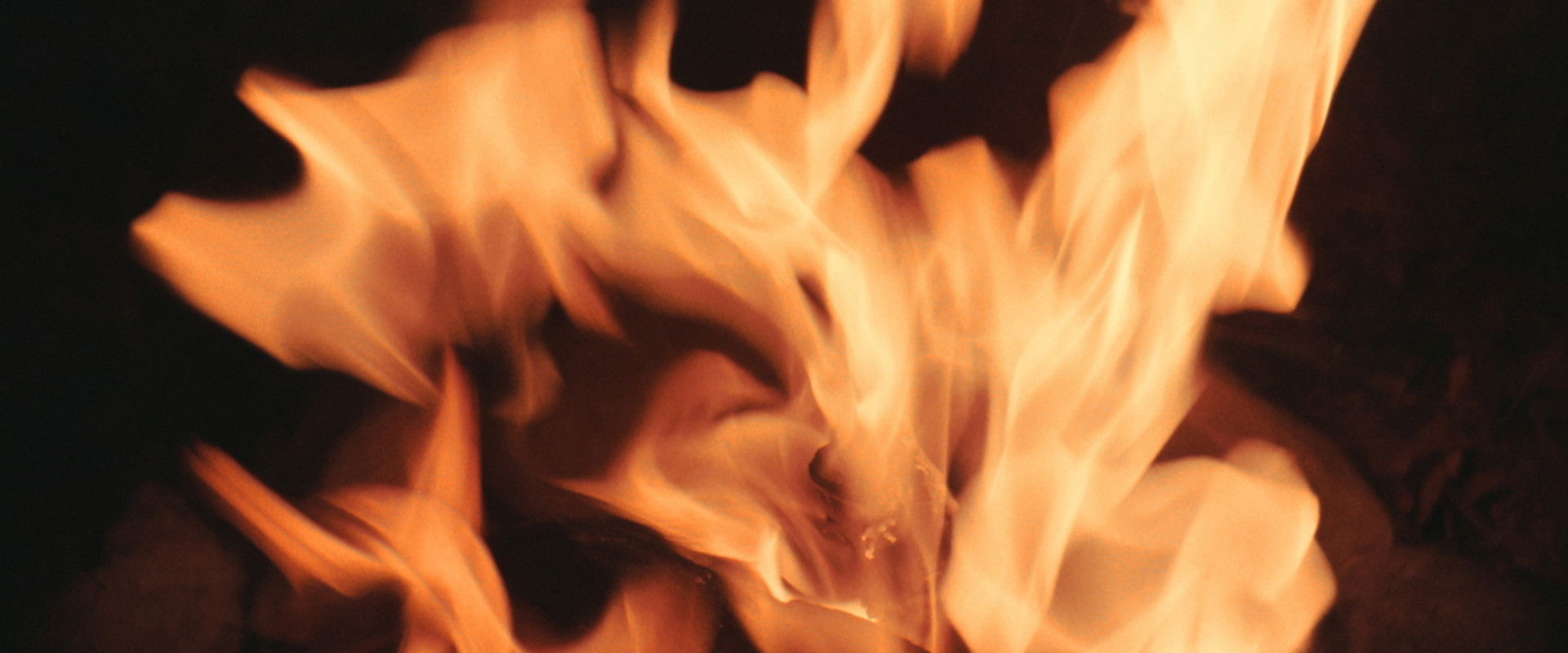 Melody of Love backdrop