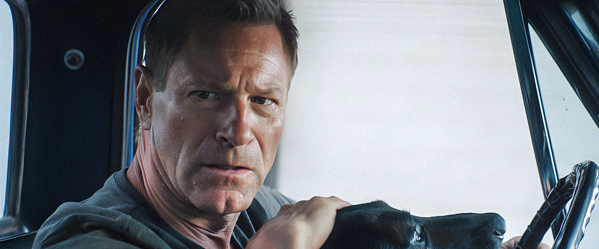 Muzzle: City of Wolves