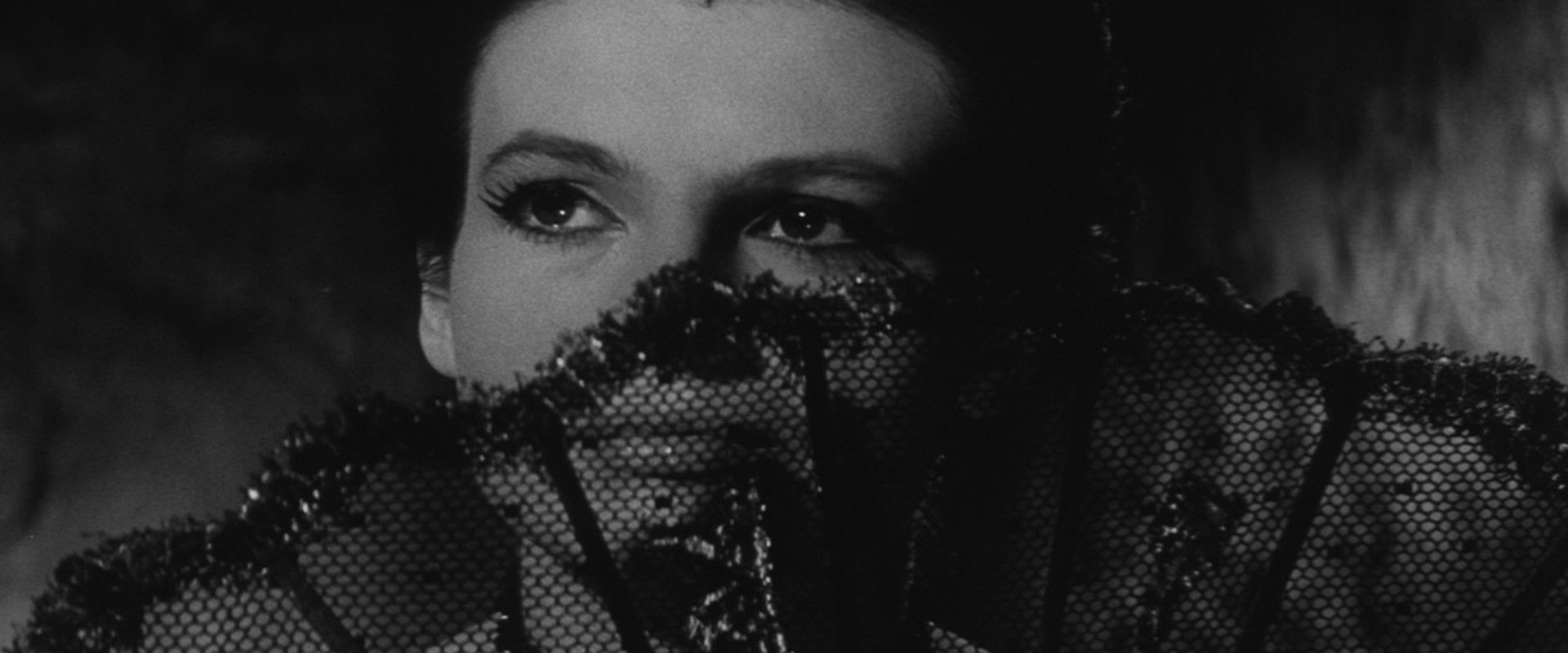 The Golden Fern backdrop