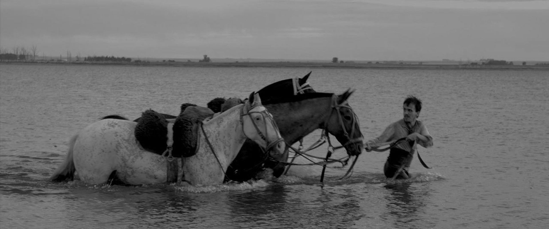 The Movement backdrop