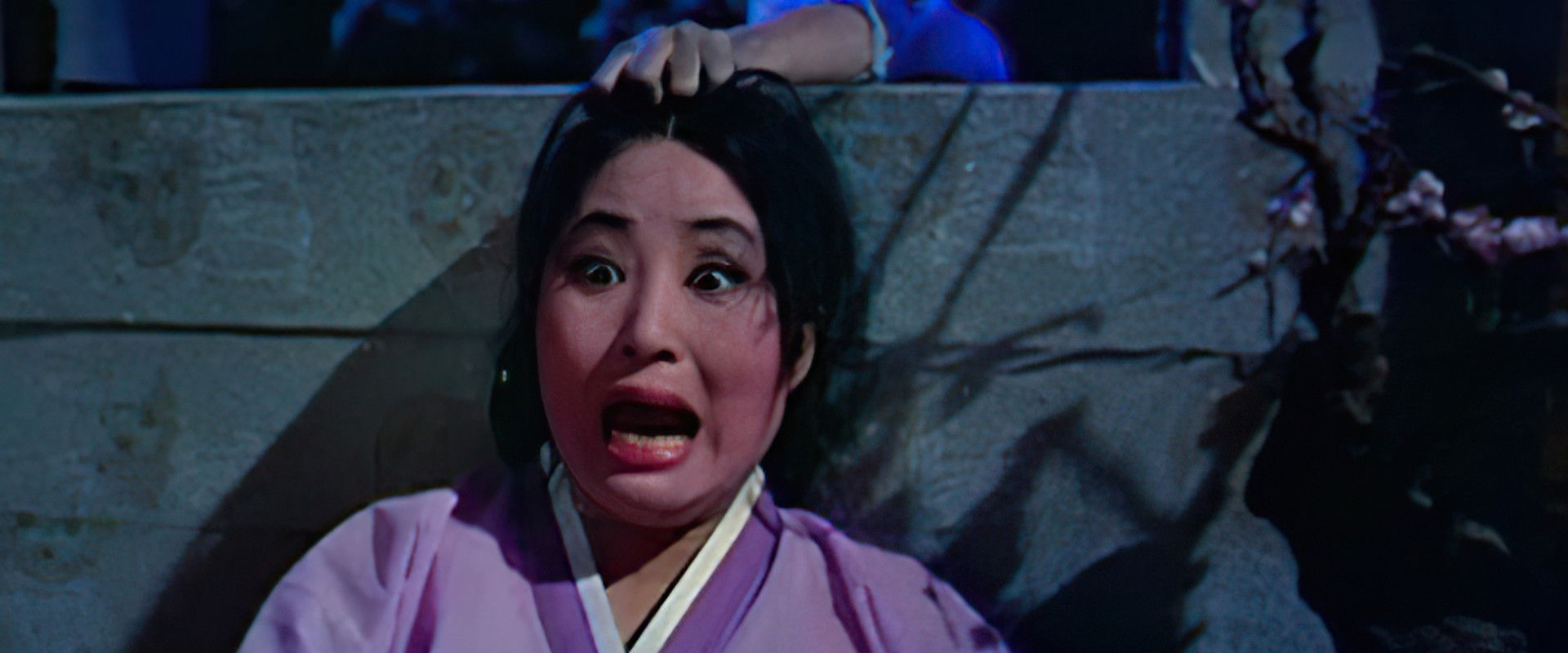 The Public Cemetery Under the Moon backdrop